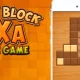 Block Hexa Woody Puzzle