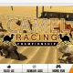 Wild Camel Racing Simulator