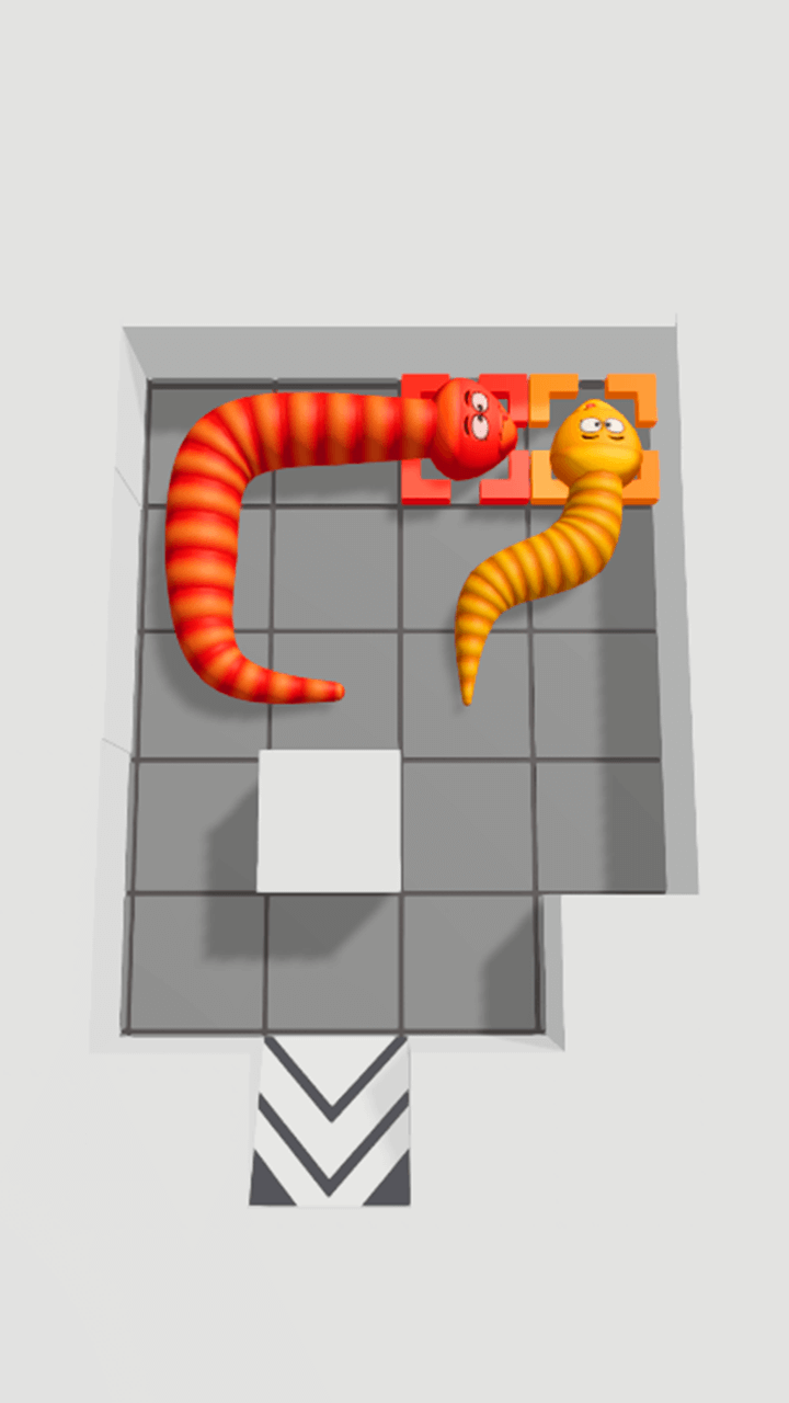 Snake Puzzle