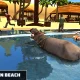 Angry Hippo Attack Simulator