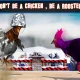 Angry Rooster Fighting Hero: Farm Chicken Battle