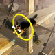 Dog Stunts & Simulator 3D – Crazy Dog Games