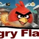 Angry Red Birds