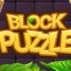 Block Puzzle Jewel Unity Source Code